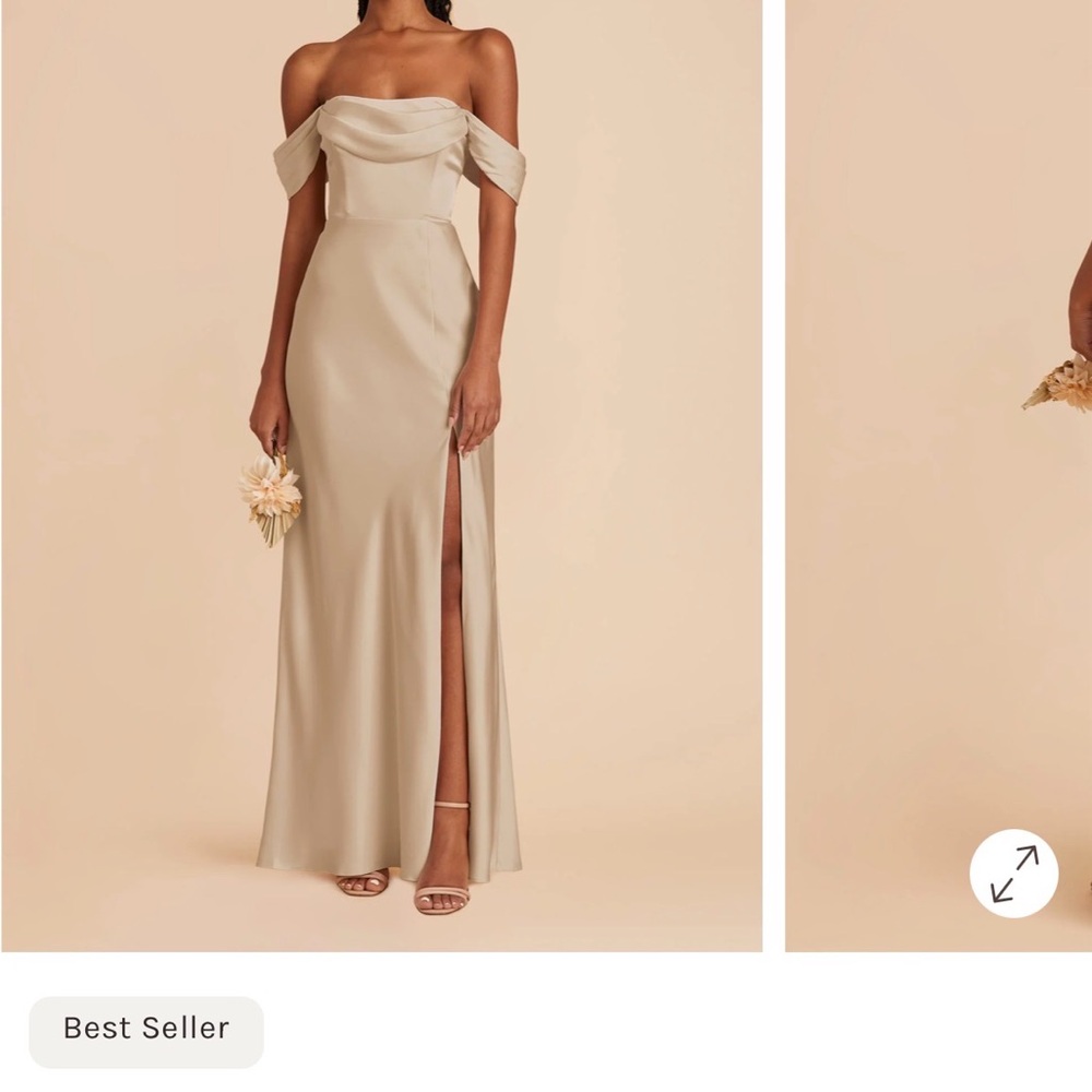 Birdy Grey Bridesmaid dress - Neutral Champagne - missing sleeves!